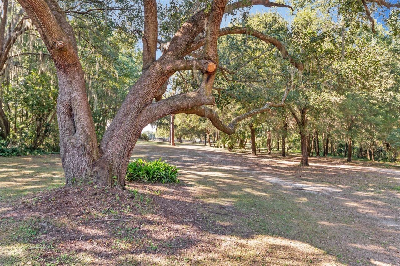 15670 S Highway 25, Weirsdale, FL 32195 Photo