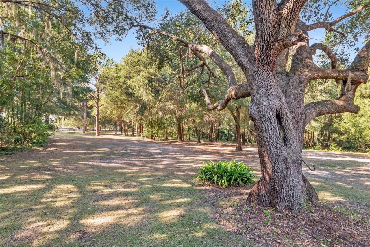 15670 S Highway 25, Weirsdale, FL 32195 Photo