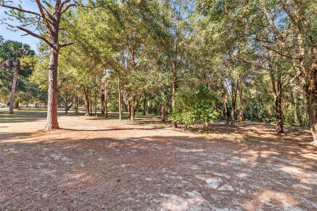 15670 S Highway 25, Weirsdale, FL 32195 Photo