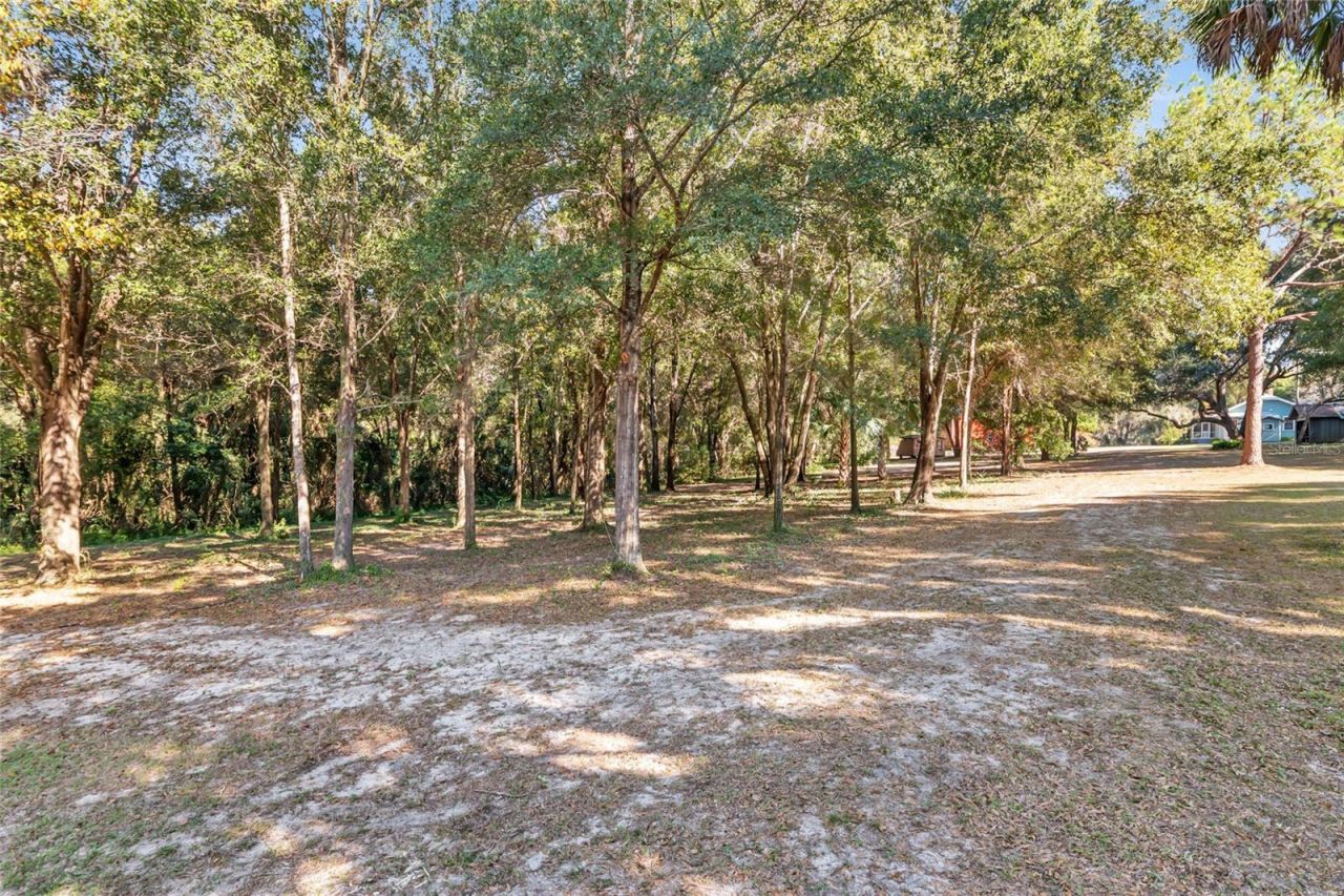 15670 S Highway 25, Weirsdale, FL 32195 Photo