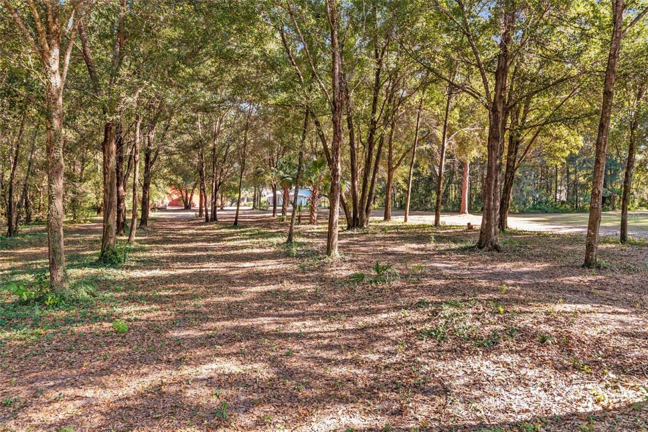 15670 S Highway 25, Weirsdale, FL 32195 Photo