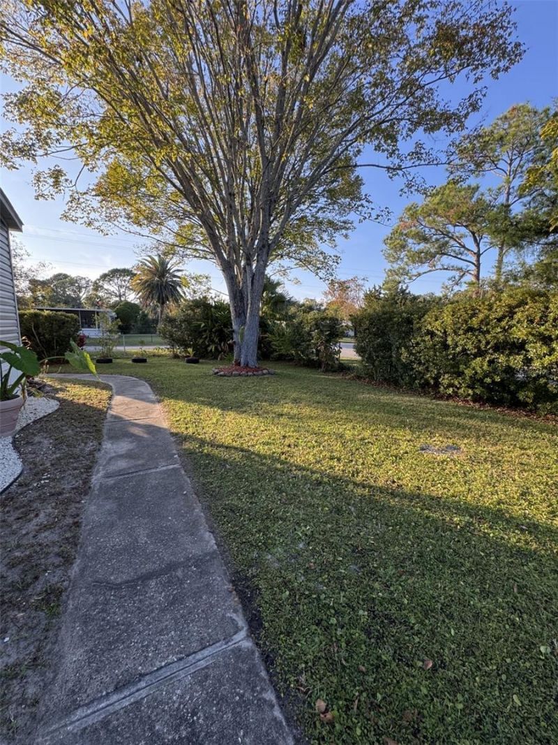 1111 Avenue G, Ormond Beach, FL 32174 Photo