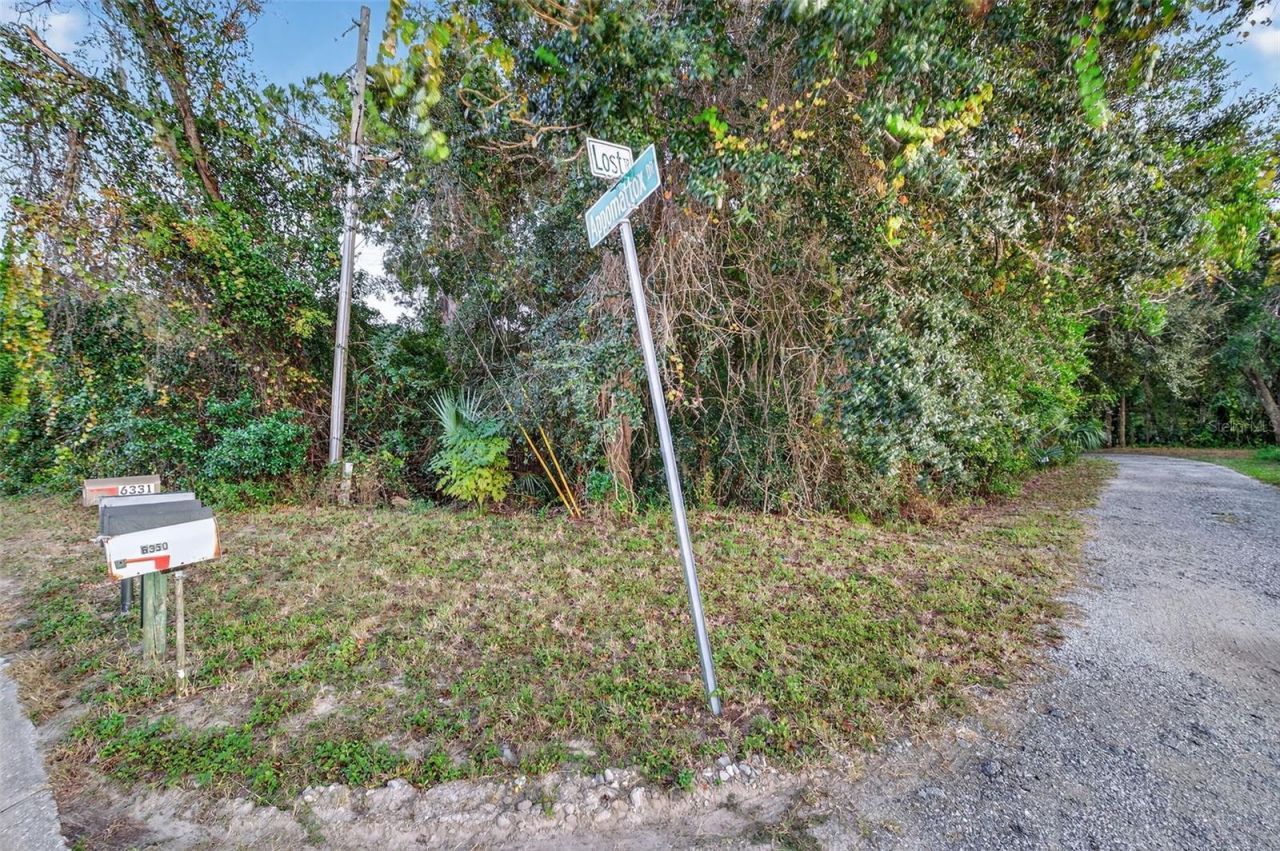 6345 Lost Trail, Holiday, FL 34690 Photo