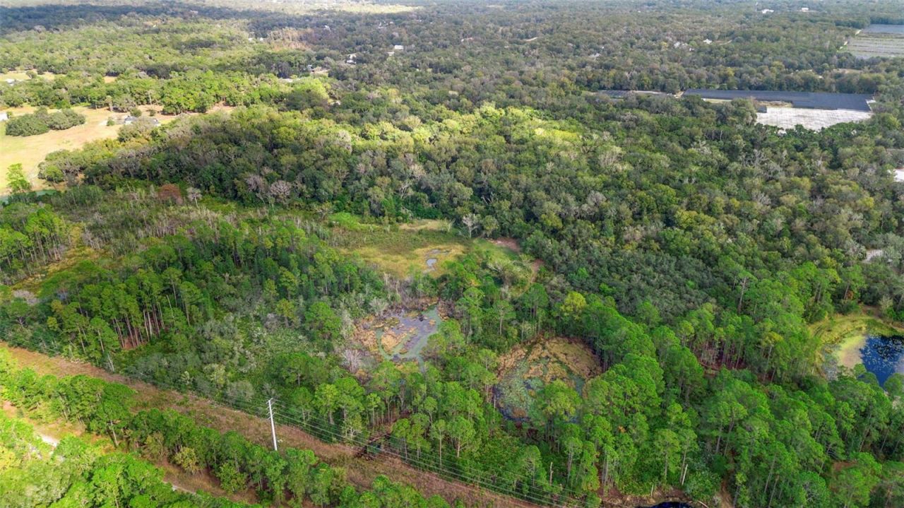 King Street, Deland, FL 32720 Photo