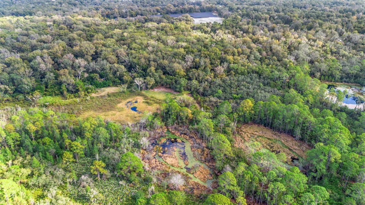 King Street, Deland, FL 32720 Photo