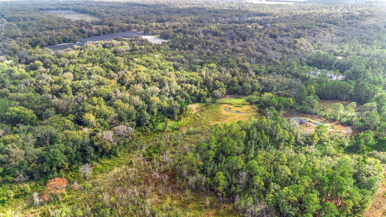 King Street, Deland, FL 32720 Photo