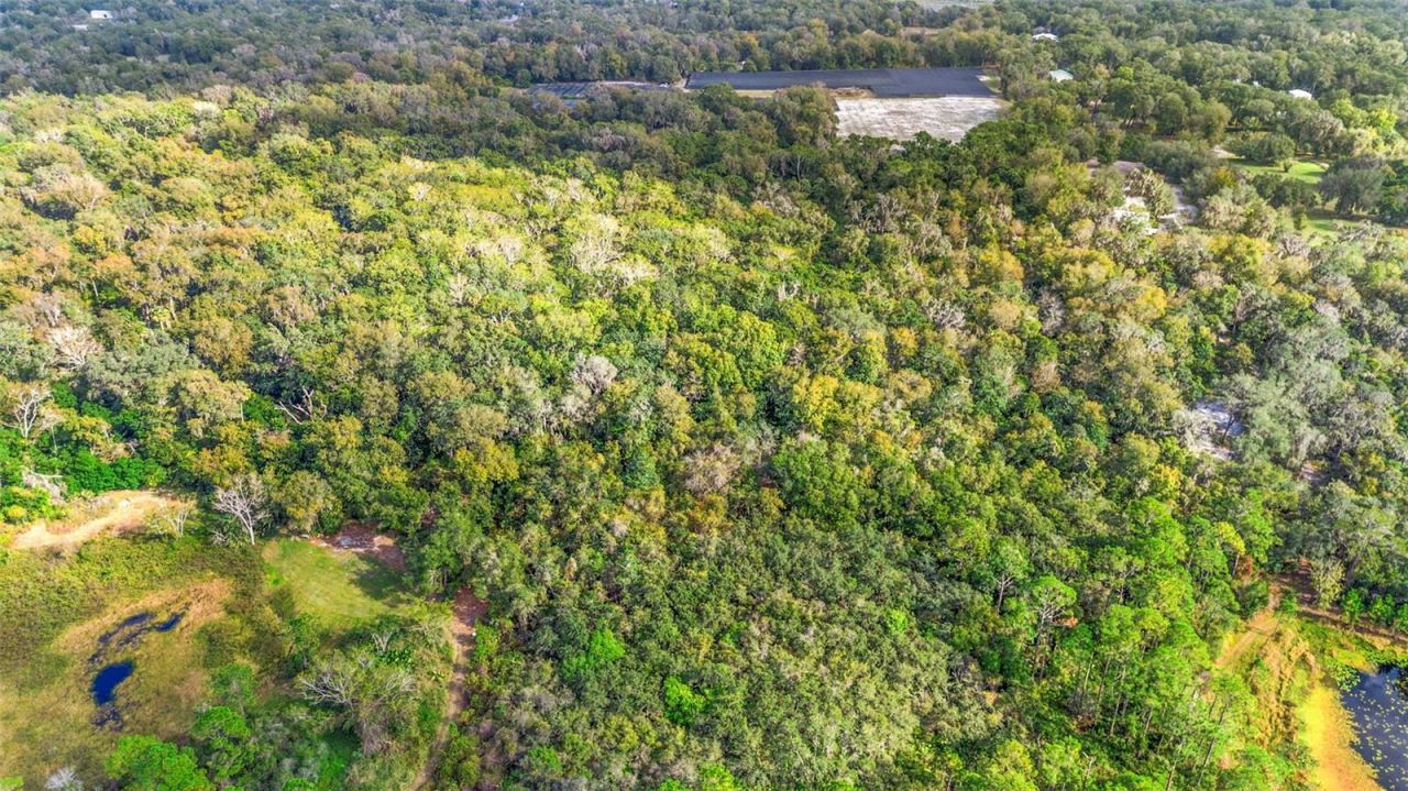 King Street, Deland, FL 32720 Photo