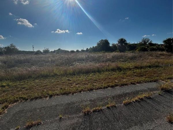 216 LEINSTER PLACE, LABELLE, FL 33935