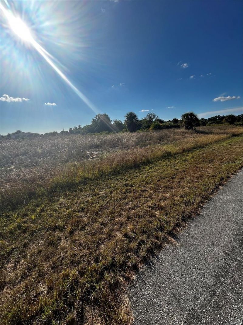 216 Leinster Place, Labelle, FL 33935 Photo