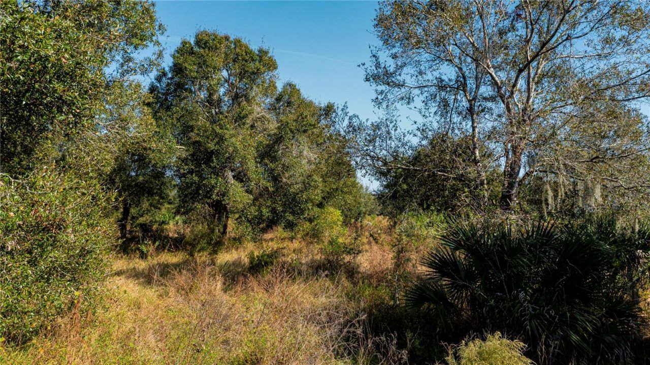 Sw Co Rd 760a, Arcadia, FL 34266 Photo