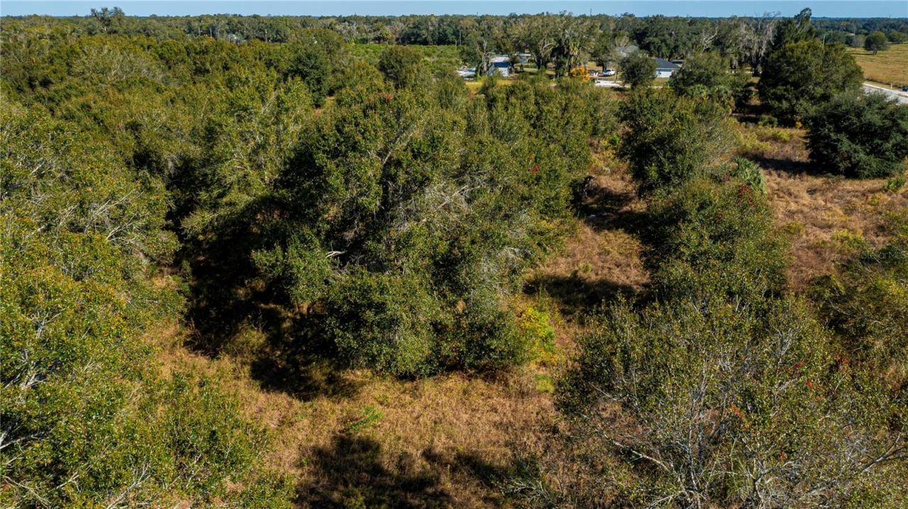 Sw Co Rd 760a, Arcadia, FL 34266 Photo