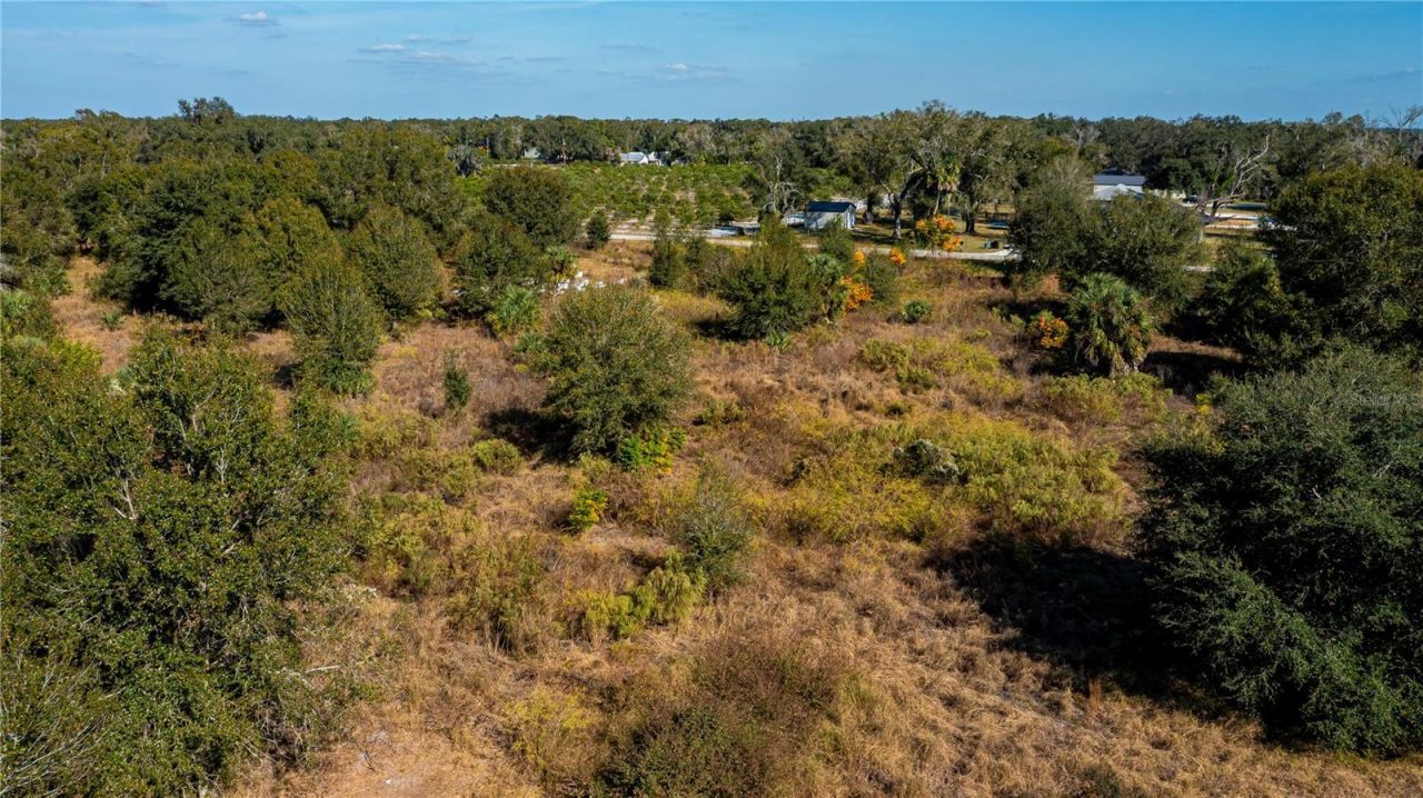 Sw Co Rd 760a, Arcadia, FL 34266 Photo