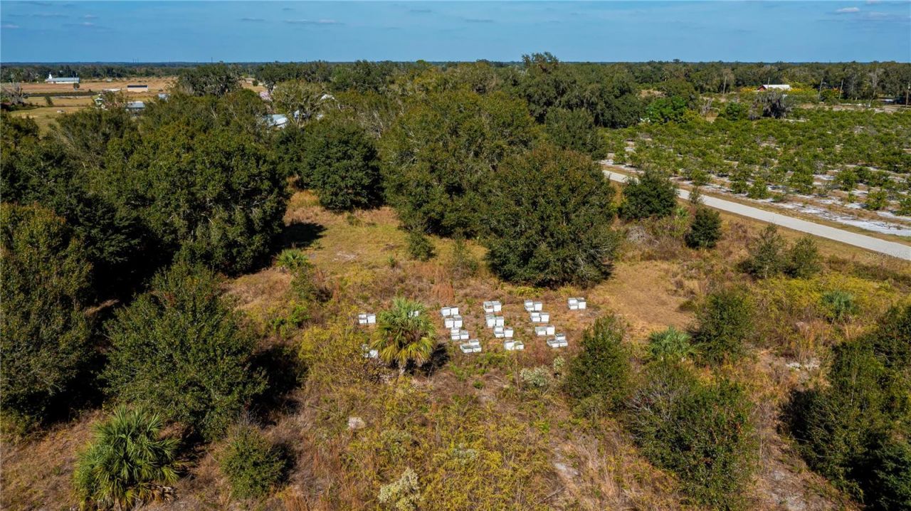 Sw Co Rd 760a, Arcadia, FL 34266 Photo