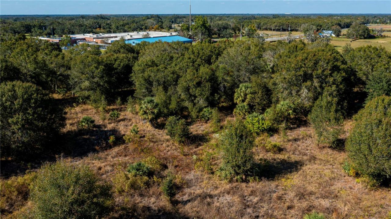 Sw Co Rd 760a, Arcadia, FL 34266 Photo