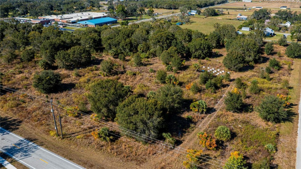 Sw Co Rd 760a, Arcadia, FL 34266 Photo