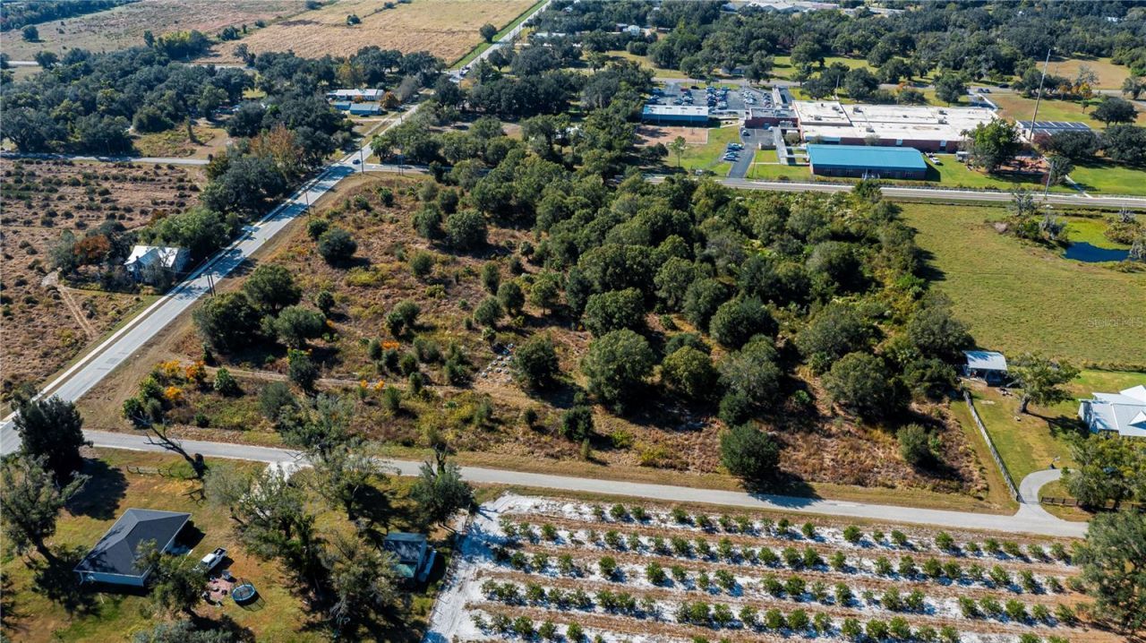 Sw Co Rd 760a, Arcadia, FL 34266 Photo