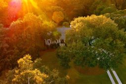 5323 Peerless Place Drive photo 4