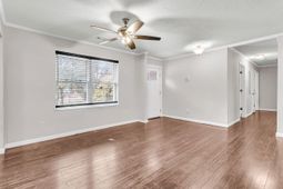 117 Alma Drive photo 4