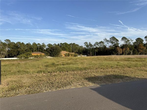 14950 MIM PLACE, DADE CITY, FL 33525