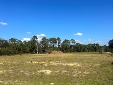 38553 WOODED MEADOW DRIVE, UMATILLA, FL 32784