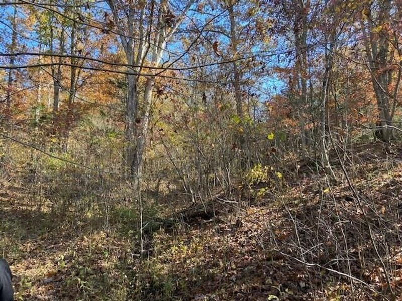 5420 Central Ridge Road, Mount Olivet, KY 41064 Photo 13