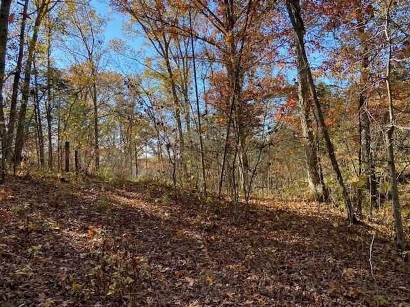 5420 Central Ridge Road, Mount Olivet, KY 41064 Photo 5