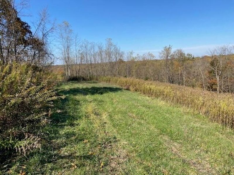 5420 Central Ridge Road, Mount Olivet, KY 41064 Photo 7