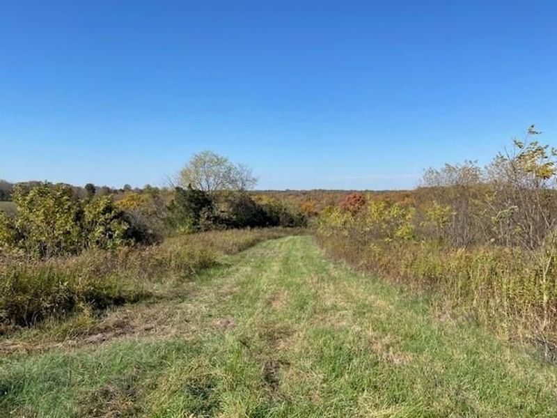 5420 Central Ridge Road, Mount Olivet, KY 41064 Photo 8