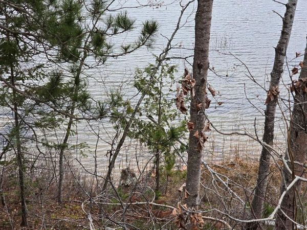 V/L 0.25AC Lost Lake Road, Hawks, MI 49743