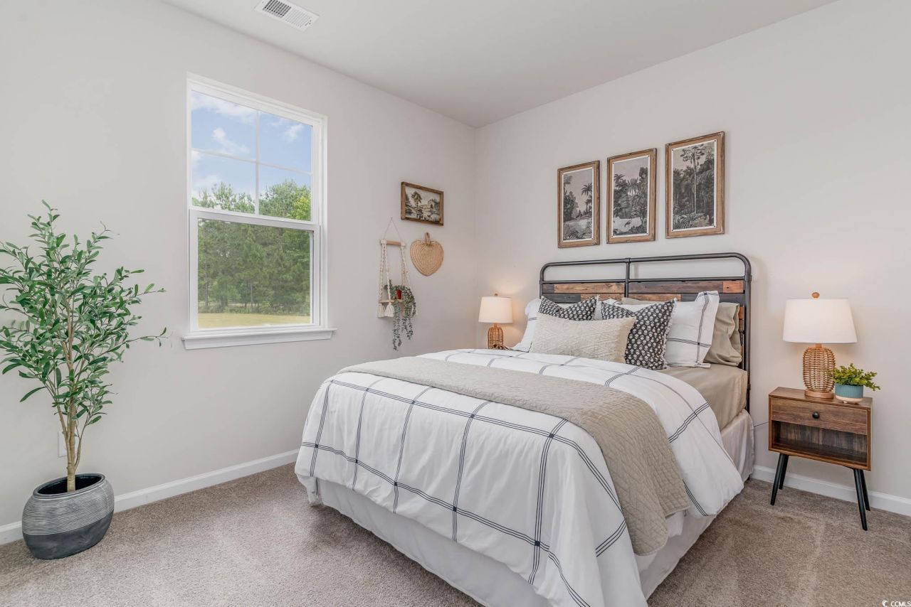 139 Cottage Red Ct. Photo 16