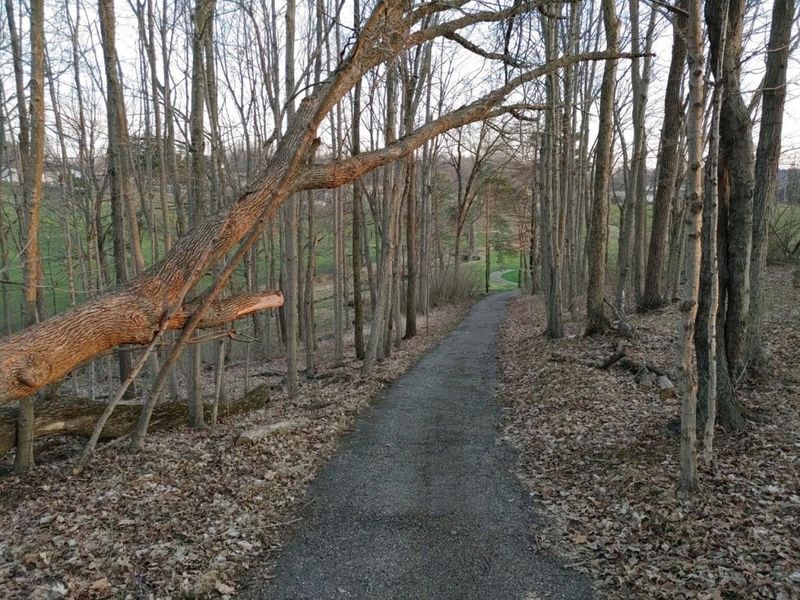 160 Coonpath Road NE, Lancaster, OH 43130 Photo 15