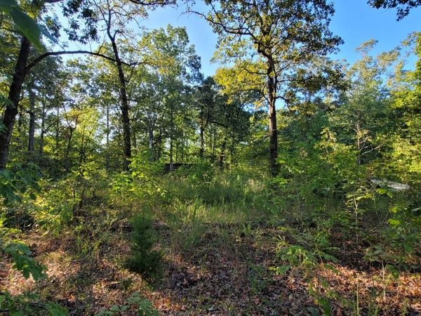 0 Franklin Avenue, Lexington, TN 38351