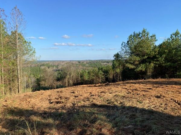 0 HWY 43 N, Northport, AL 35475