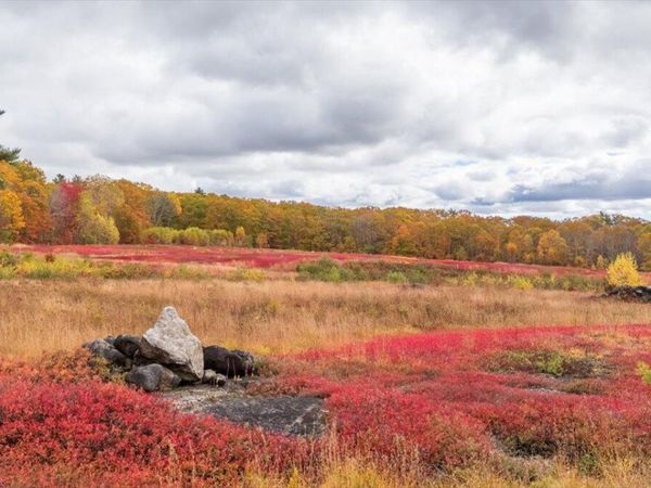 Map 4 Lot 3 Clarry Hill Lane, Union, ME 04862