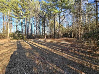 109 Anderson Portee, Hopkins, SC 29061