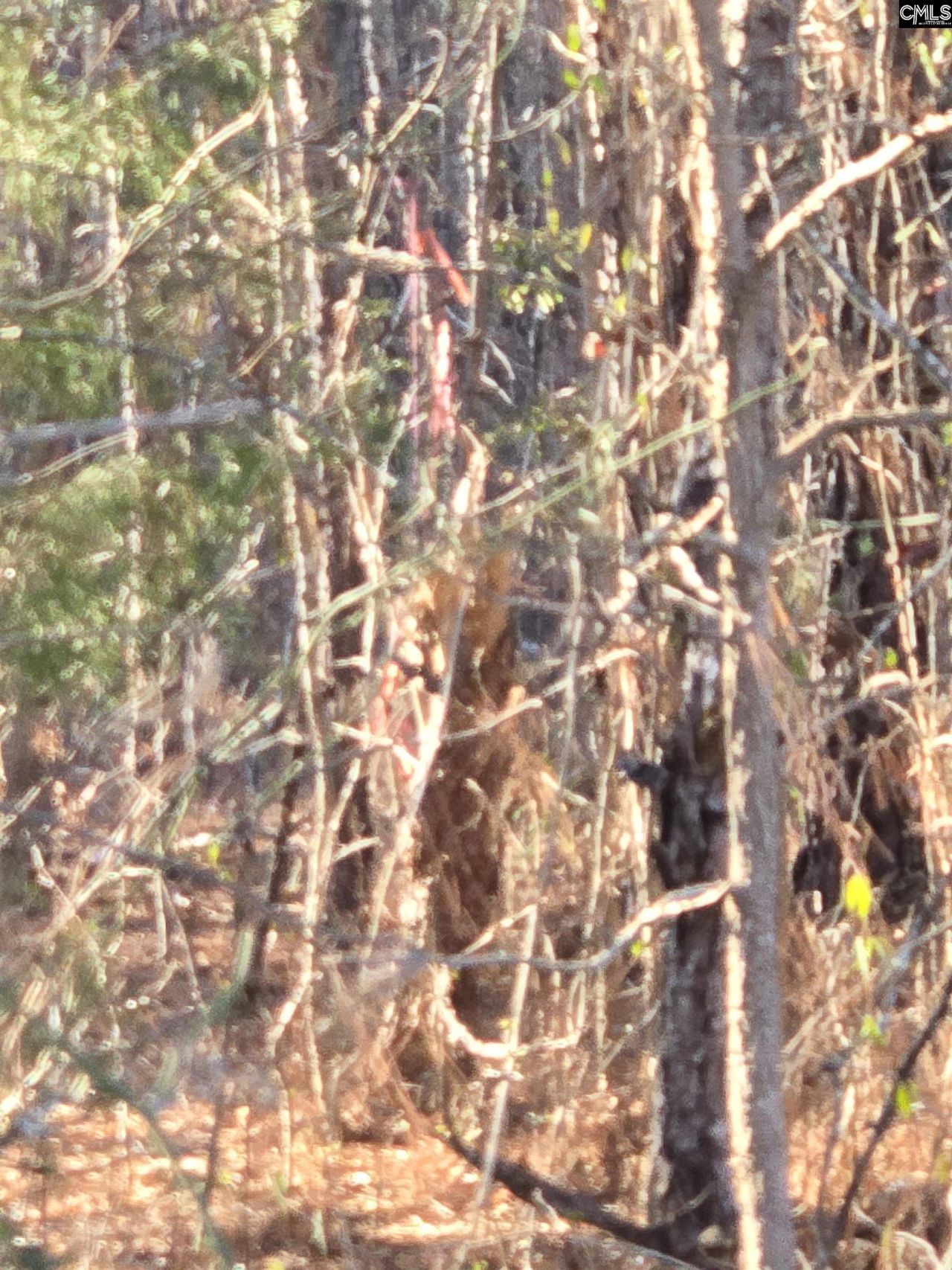 109 Anderson Portee Photo 10