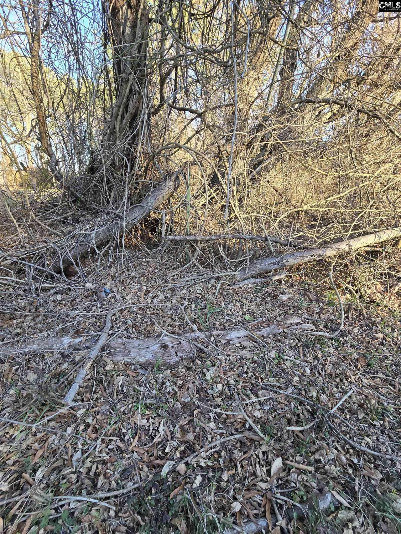 109 Anderson Portee Photo 12