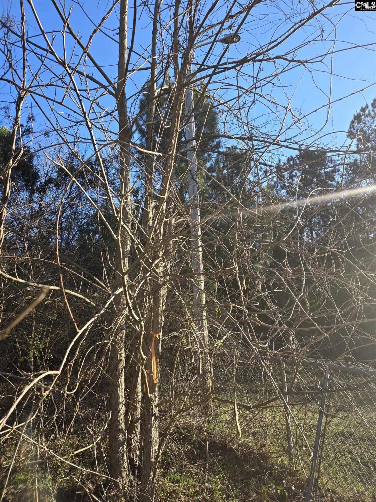 109 Anderson Portee Photo 7