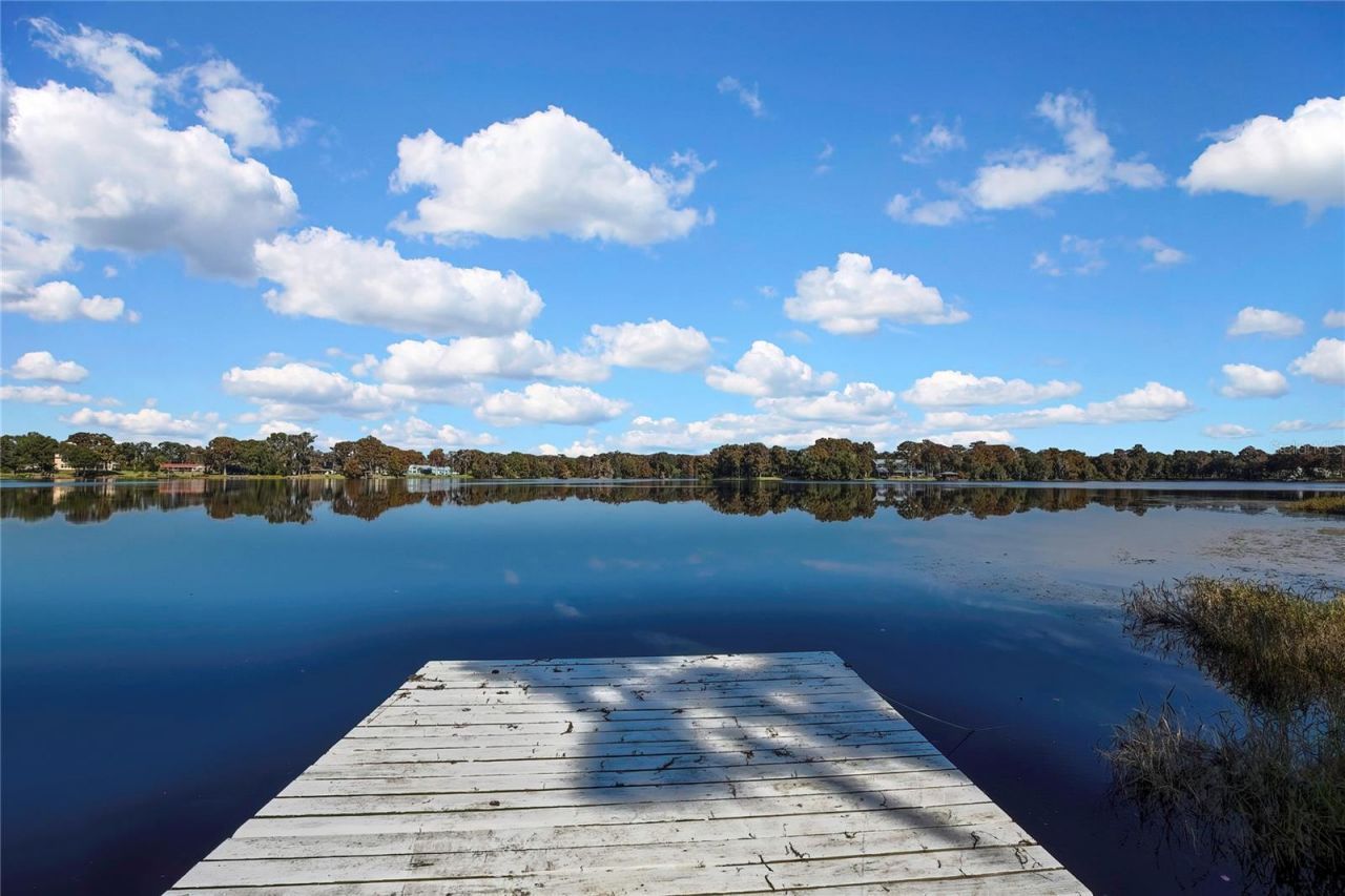 6670 S Merleing Loop, Floral City, FL 34436 Photo