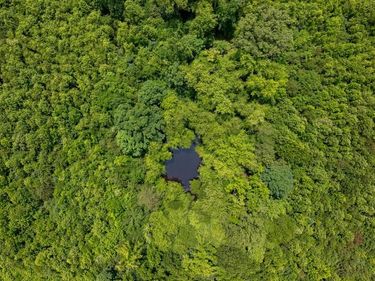 TBD PINEY GROVE ROAD, Unit 21, ALTON, VA 24520