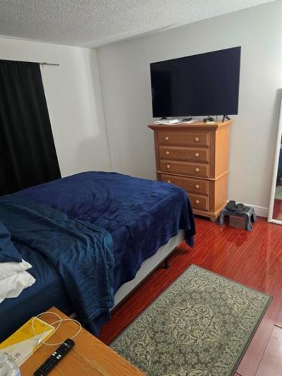 3720 N Pine Island Road, Unit 335, Sunrise, FL 33351 Photo