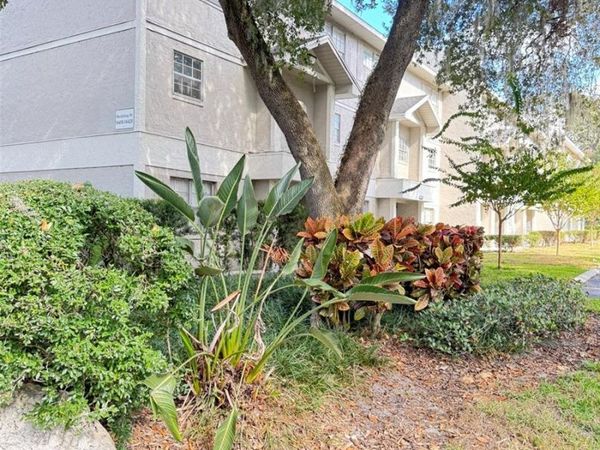 14412 REUTER STRASSE CIRCLE, Unit 213, TAMPA, FL 33613