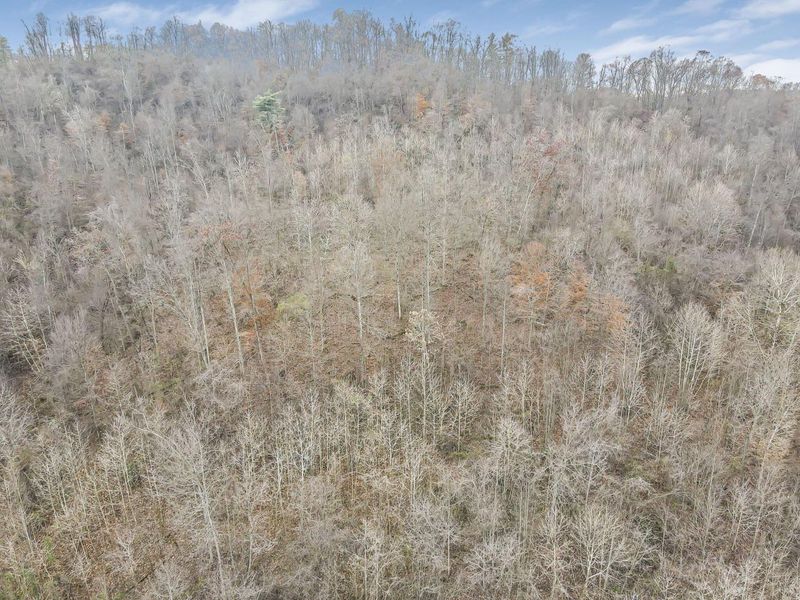 17877 Haydenville Road , Nelsonville, OH 45764 Photo 8