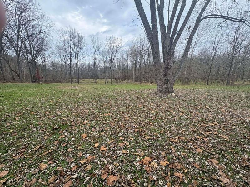 4702 Brush Creek Rd, Manchester, OH 45144 Photo 36