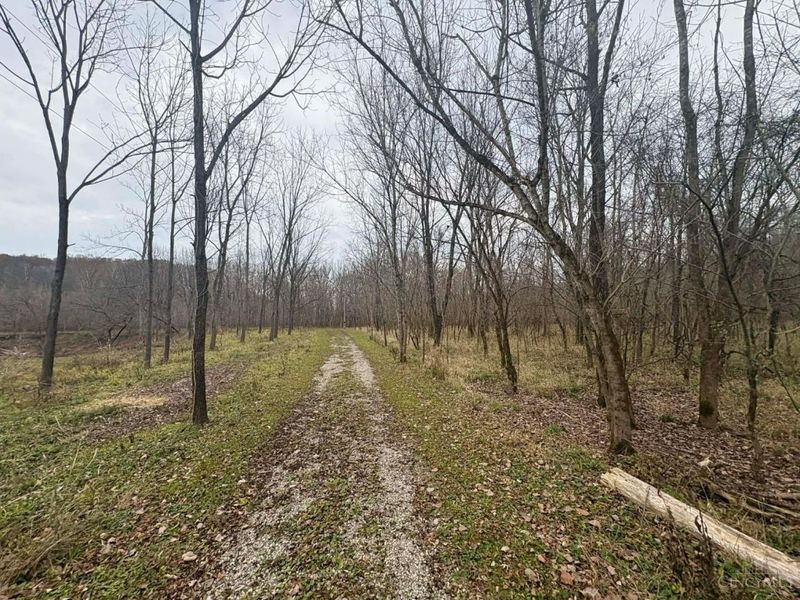 4702 Brush Creek Rd, Manchester, OH 45144 Photo 38