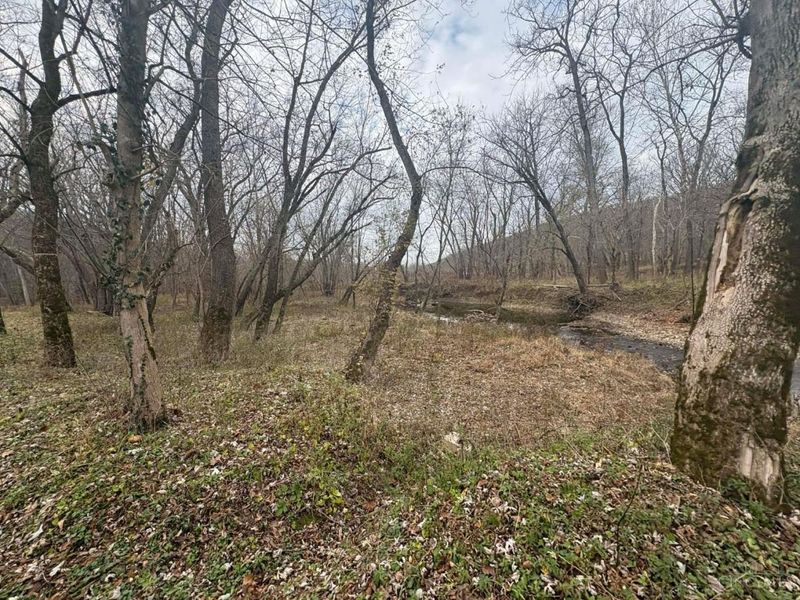 4702 Brush Creek Rd, Manchester, OH 45144 Photo 41