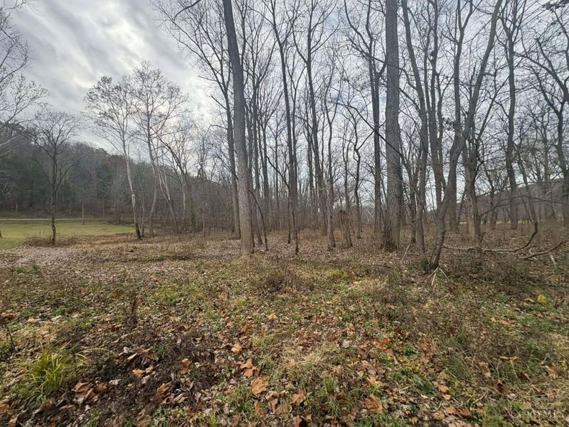 4702 Brush Creek Rd, Manchester, OH 45144 Photo 41