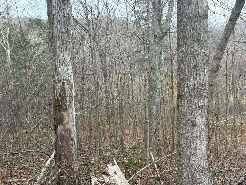 4702 Brush Creek Rd, Manchester, OH 45144 Photo 43