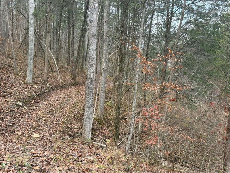 4702 Brush Creek Rd, Manchester, OH 45144 Photo 43