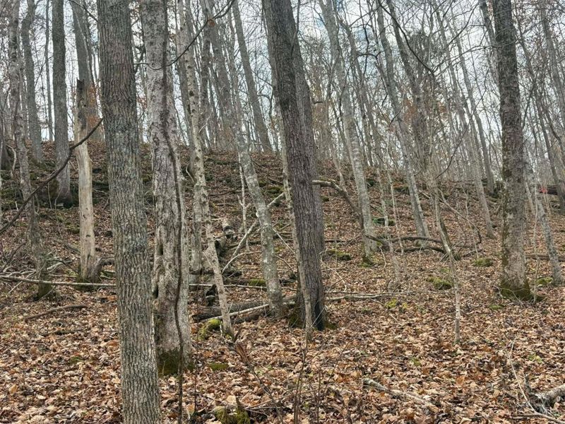 4702 Brush Creek Rd, Manchester, OH 45144 Photo 44